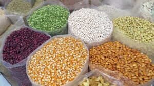 Dried Food Testing